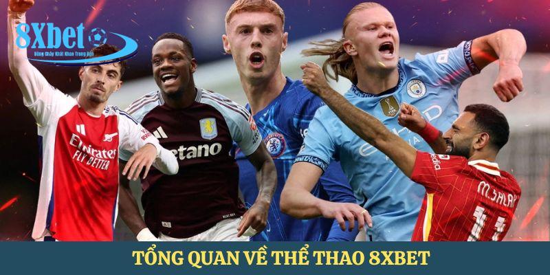Tổng quan về thể thao 8xbet